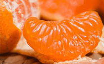 大雪節(jié)氣前后如何釣魚 大雪節(jié)氣釣魚技巧和方法