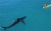 獨(dú)生子女為何不善交際 不善交際的男人能要嗎