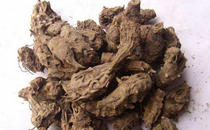 濕熱體質(zhì)可以泡腳嗎 濕熱體質(zhì)用什么泡腳好