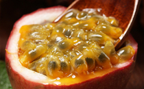 百香果治療痔瘡有效果嗎 百香果怎么吃治療痔瘡