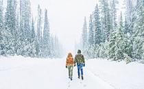 獵場林拜在飛機上看書叫什么名字 林拜看的書在哪里可以買到