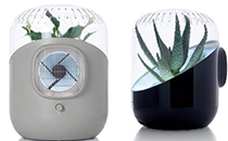 2018元旦民政局放假嗎 2018年民政局1月1號上班嗎