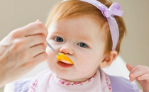 寶寶咳嗽有痰可以喝冰糖雪梨嗎 寶寶咳嗽有痰喝冰糖雪梨好不好