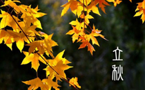 2017立秋后會(huì)涼爽一些嗎 2017立秋后天氣怎么樣