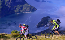 每天跑步五分鐘有用嗎 每天跑步鍛煉的好處有哪些