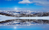 ​羽衣甘藍(lán)能吃嗎 羽衣甘藍(lán)怎么吃好吃