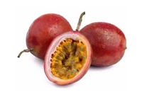 銀杏果怎么吃比較好 銀杏果的食用方法