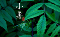 2017年小暑是頭伏嗎 2017小暑是什么時(shí)候