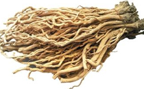 黃精為什么是黑色的 黃精黑色好還是黃色好