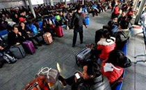 羊蝎子是什么東西 羊蝎子怎么做好吃家常做法