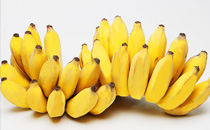 白蘿卜怎么做止咳化痰 白蘿卜配什么止咳化痰