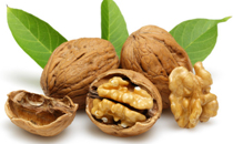 可口可樂2017圣誕限定拉花可樂在哪買 可口可樂圣誕拉花可樂價格多少錢