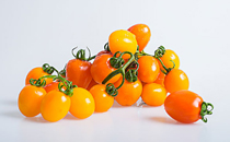 茼蒿有點(diǎn)苦可以吃嗎 茼蒿苦味是怎么回事