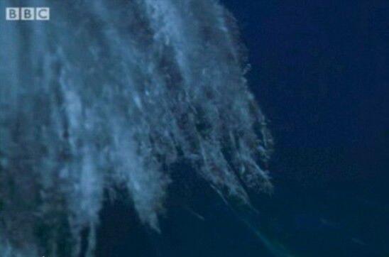 恐怖的南極死亡冰柱，所過之處寸草不生(視頻詳解)