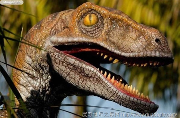 10大最著名恐龍盤點 十大恐龍排行榜