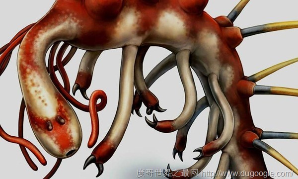 怪誕蟲,大約5.3億年前的海洋之中最奇怪的物種