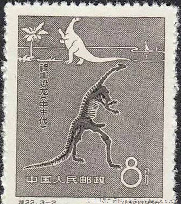 中國發(fā)現(xiàn)的第一只恐龍到底是什么龍？滿洲龍,許氏祿豐龍