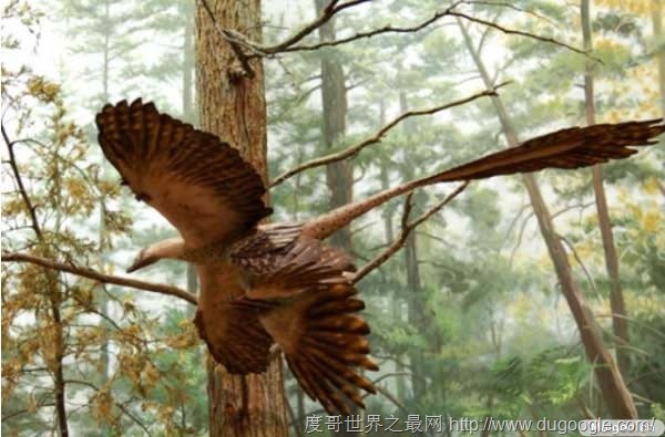 10大最著名恐龍盤點 十大恐龍排行榜