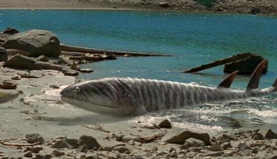 含肺魚(yú)VS鄧氏魚(yú)誰(shuí)更厲害，海陸兩棲的巨無(wú)霸