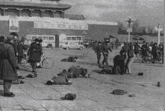 田明建單手換彈夾gif動(dòng)圖，老兵的戰(zhàn)場(chǎng)實(shí)用技能