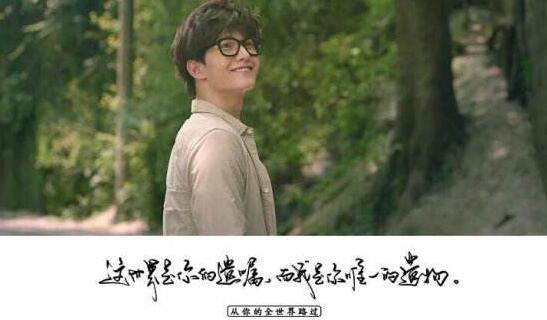 從你的全世界路過經(jīng)典語錄，33個真實發(fā)生的愛情故事