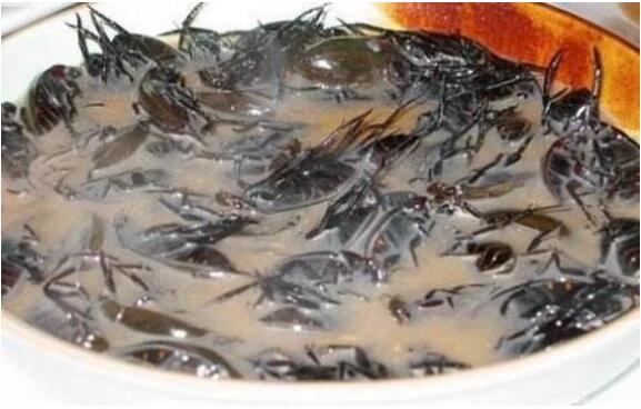 世界上最惡心的食物，油炸毒蜘蛛最"美味"(看了想吐)