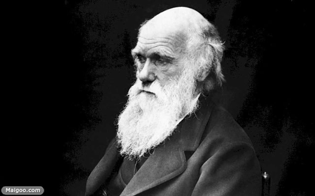 世界十大天才 影響世界進程的十大天才