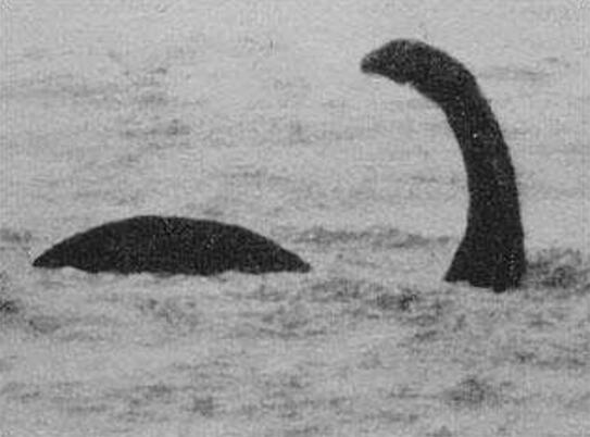 盤點(diǎn)世界十大水怪，尼斯湖水怪騙了所有人半個(gè)世紀(jì)
