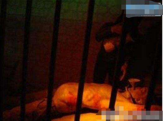 中國20大古代酷刑，滿清十大酷刑最變態(tài)(膽小勿入)