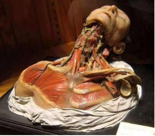 全球十大驚悚地點(diǎn)，墨西哥娃娃島最恐怖(島上掛滿鬼娃娃)