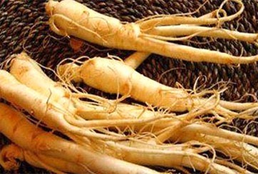 117263693_title0h 中國(guó)最珍貴的植物