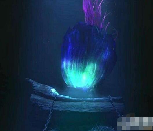 鬼吹燈中尸香魔芋花竟真的存在，是世界上最臭的花