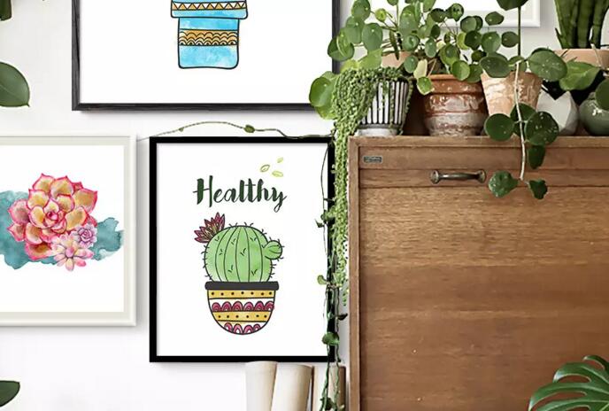 仙人掌怎么施肥，選擇合適肥料很重要