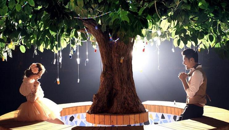 幸福樹的養(yǎng)護(hù)，栽種土壤和水份的施加都要注意