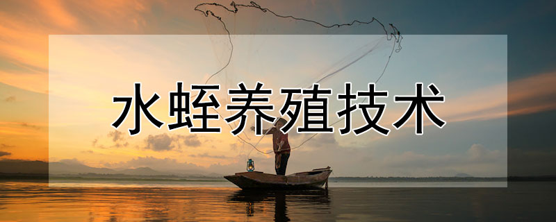 水蛭養(yǎng)殖技術(shù)