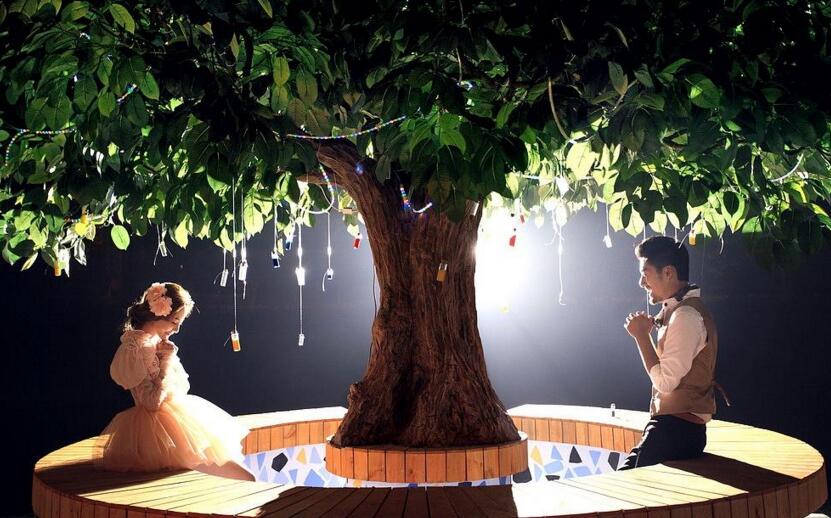 幸福樹的葉子全蔫了，從4個(gè)方面解決出現(xiàn)的問題