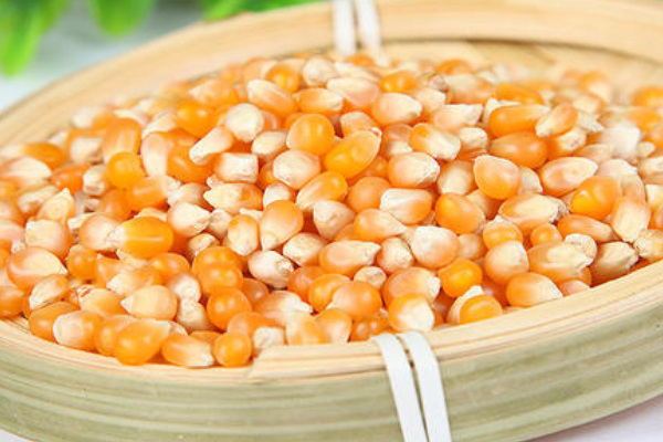 玉米發(fā)霉了曬干可以喂雞嗎