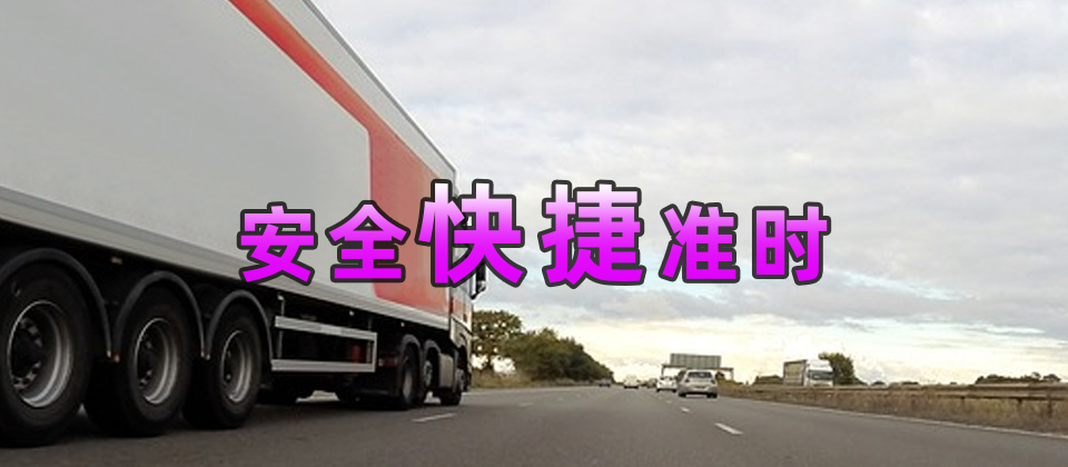 專業(yè)倉儲(chǔ)服務(wù)